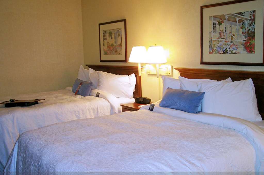 Hampton Inn Salem East - Electric Road Quarto foto